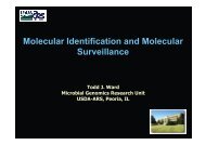 Molecular Identification and Molecular Surveillance