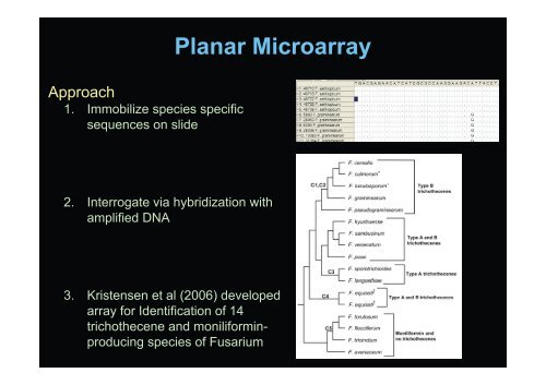 Molecular Identification and Molecular Surveillance