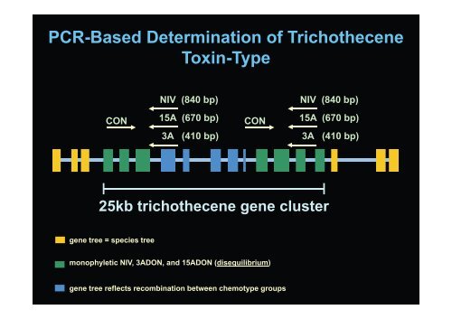 Molecular Identification and Molecular Surveillance