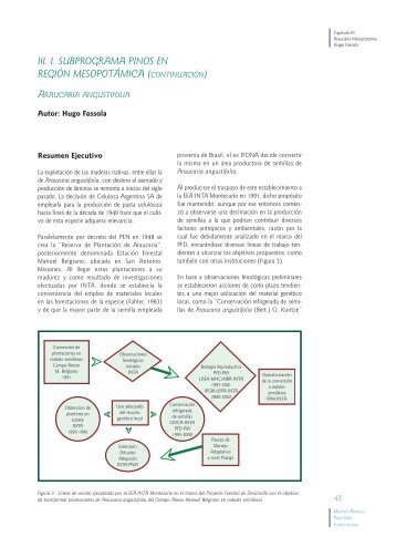 III. I. Subprograma Pinos en Región Mesopotámica (Continuación)