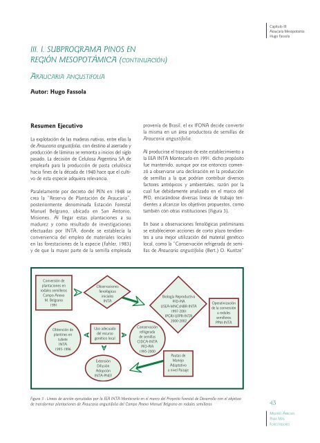 III. I. Subprograma Pinos en Región Mesopotámica (Continuación)