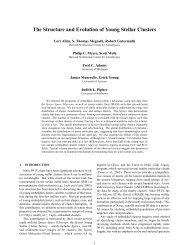 The Structure and Evolution of Young Stellar Clusters - Harvard ...