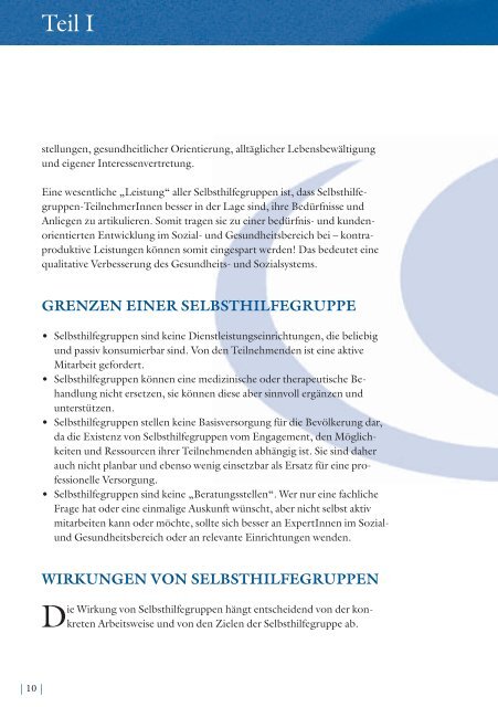 Aus Erfahrungen lernen (PDF | 600 KB) - Fonds Gesundes Ãsterreich