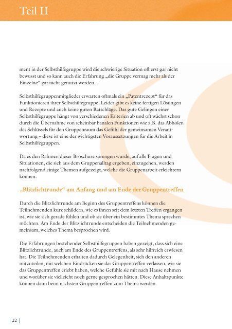 Aus Erfahrungen lernen (PDF | 600 KB) - Fonds Gesundes Ãsterreich