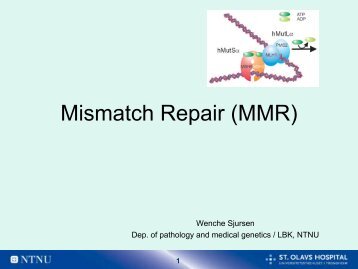 Mismatch Repair and related diseases_111109.pdf - itslearning