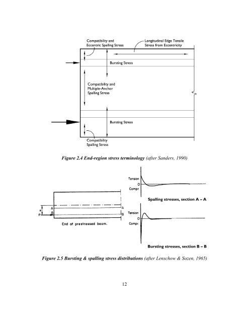 Bursting and Spalling in Pretensioned U-Beams - Ferguson ...