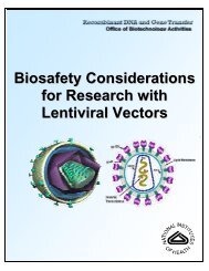 Biosafety Considerations for Research with Lentiviral Vectors