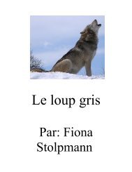 Le loup gris