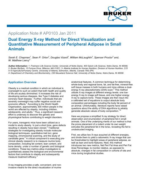 AP0103 - Measurement of Peripheral Adipose in Small ... - Bruker