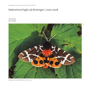 Nattsommerfugler pÃ¥ Revtangen i 2007-2008 - Museum Stavanger