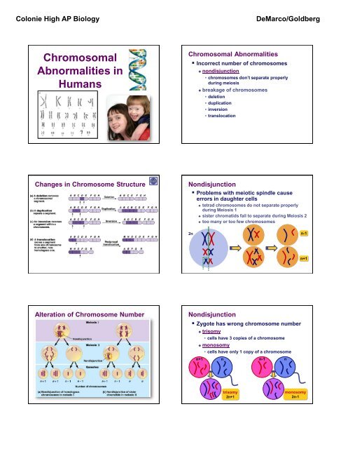 Lecture 037 - Chromosome Abnormalities