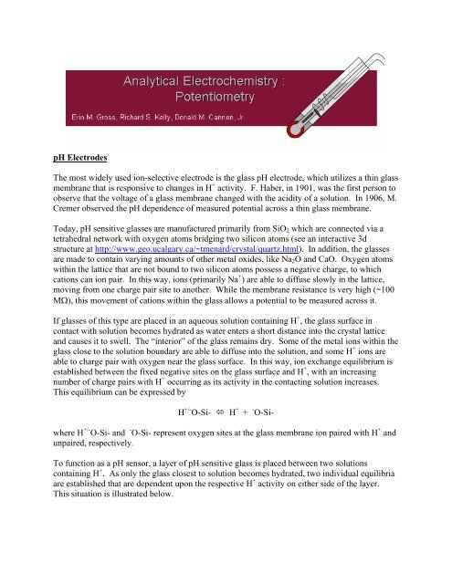 pH Electrodes The most widely used ion-selective electrode is the ...