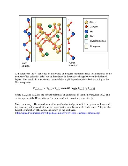 pH Electrodes The most widely used ion-selective electrode is the ...