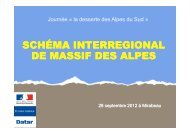 Schema interregional massif Alpes.pdf - L'observatoire rÃ©gional des ...