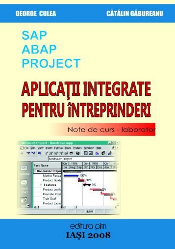Aplicatii integrate pentru intreprinderi - PIM Copy