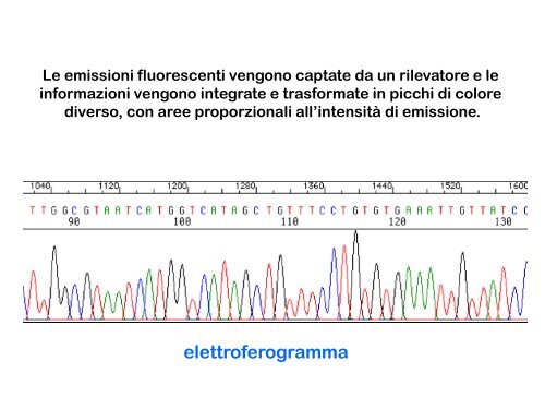 Appunti di Principi-BiolMol CTF - Capitolo3 - Omero