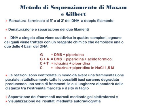 Appunti di Principi-BiolMol CTF - Capitolo3 - Omero