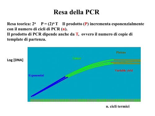 Appunti di Principi-BiolMol CTF - Capitolo3 - Omero