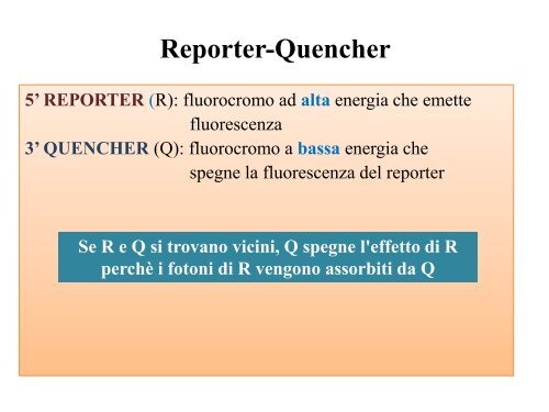 Appunti di Principi-BiolMol CTF - Capitolo3 - Omero