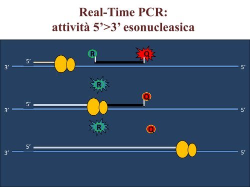 Appunti di Principi-BiolMol CTF - Capitolo3 - Omero