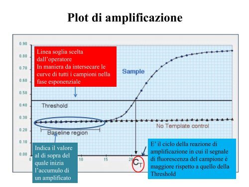 Appunti di Principi-BiolMol CTF - Capitolo3 - Omero