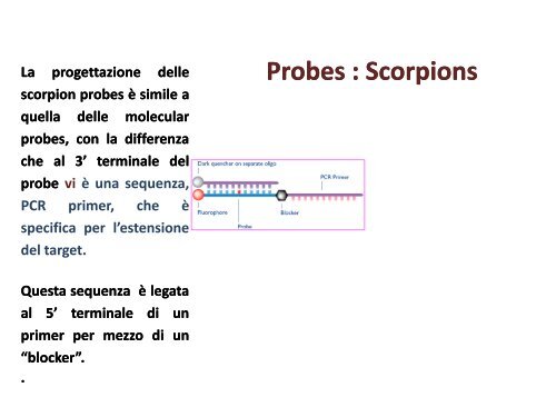 Appunti di Principi-BiolMol CTF - Capitolo3 - Omero