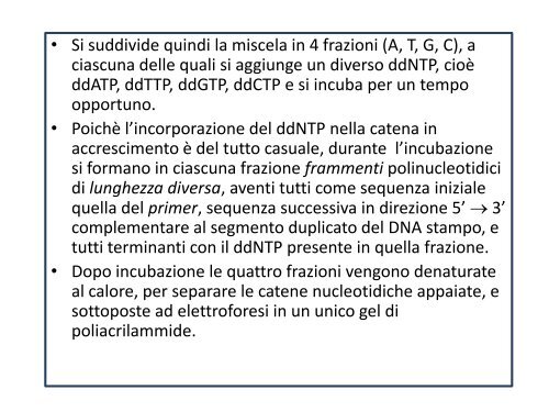 Appunti di Principi-BiolMol CTF - Capitolo3 - Omero