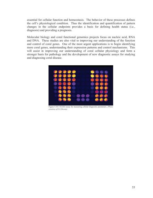 Field Manual for the Investigation of Coral Disease Outbreaks