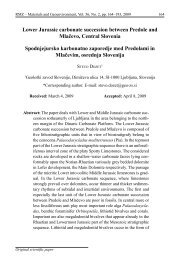 Lower Jurassic carbonate succession between Predole and ... - RMZ