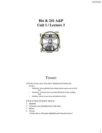 Bio 241 Unit 1 Lecture 3 printable