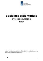 Basisinspectiemodule Fysieke belasting - Tillen - Inspectie SZW