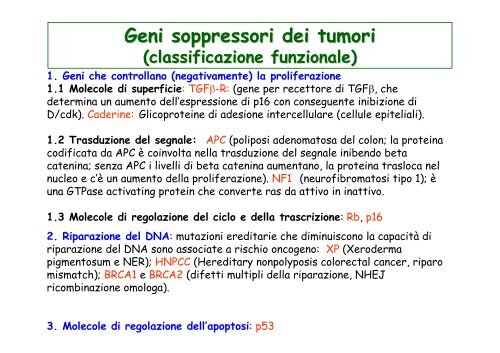 Oncologia