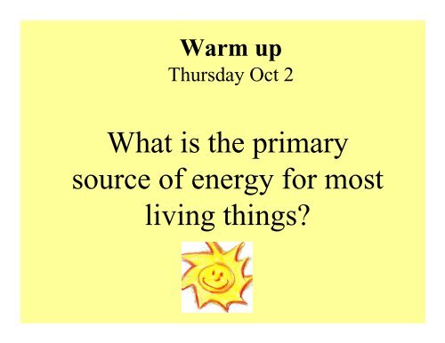 What is the primary source of energy for most living things?