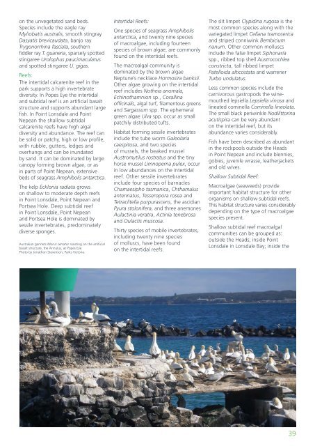 Marine Natural Values Study Summary - Parks Victoria