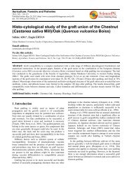 Histo-cytological study of the graft union of the Chestnut (Castanea ...