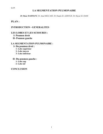 LA SEGMENTATION PULMONAIRE PLAN : - CHU Hassan II