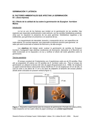 Manual de PrÃ¡cticas de FisiologÃ­a Vegetal