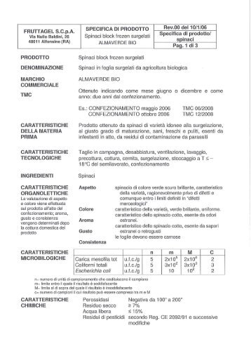 Scheda tecnica 2ITAGA09006 - Comune di Pisa