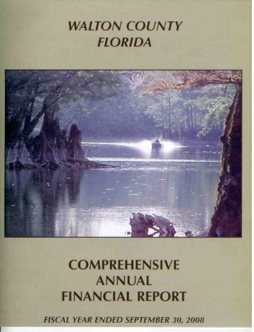 2008 Comprehensive Annual Financial Report (CAFR)