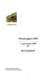 Tilsynsrapport 2009 Bo-Grindsted - Billund Kommune