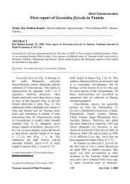 107. First report of Greenidea ficicola in Tunisia. M. Ben ... - Iresa