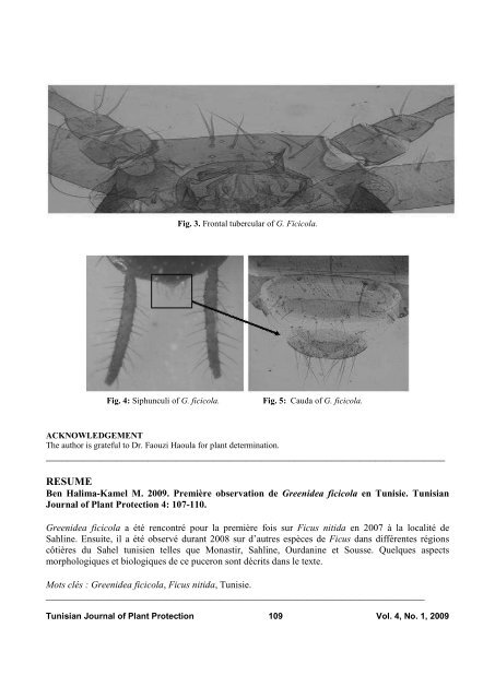 107. First report of Greenidea ficicola in Tunisia. M. Ben ... - Iresa