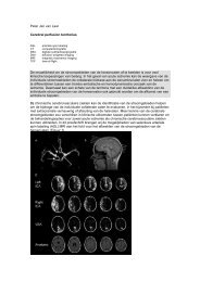 Peter Jan van Laar Cerebral perfusion territories De mogelijkheid ...