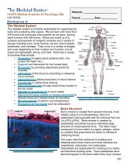 08a The Skeletal System.pdf - Haspi.org