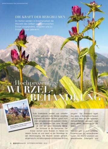 Wurzel- behandlung - Wandermagazin