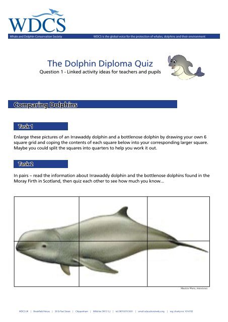 Linked activity for Q1.pdf - Whale and Dolphin Conservation Society