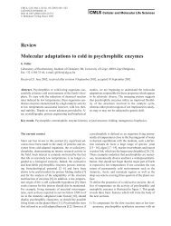 Review Molecular adaptations to cold in psychrophilic enzymes