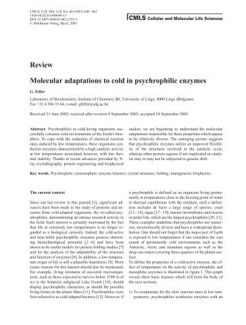 Review Molecular adaptations to cold in psychrophilic enzymes