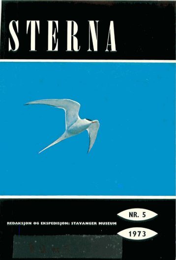 Sterna, bind 12 nr 5 (PDF-fil) - Museum Stavanger