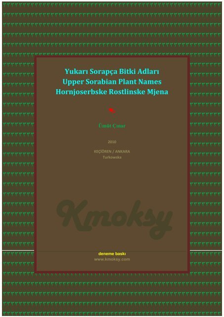 Yukarı Sorapça Bitki Adları ÜMÜT ÇINAR Upper ... - Ümüt Çınar